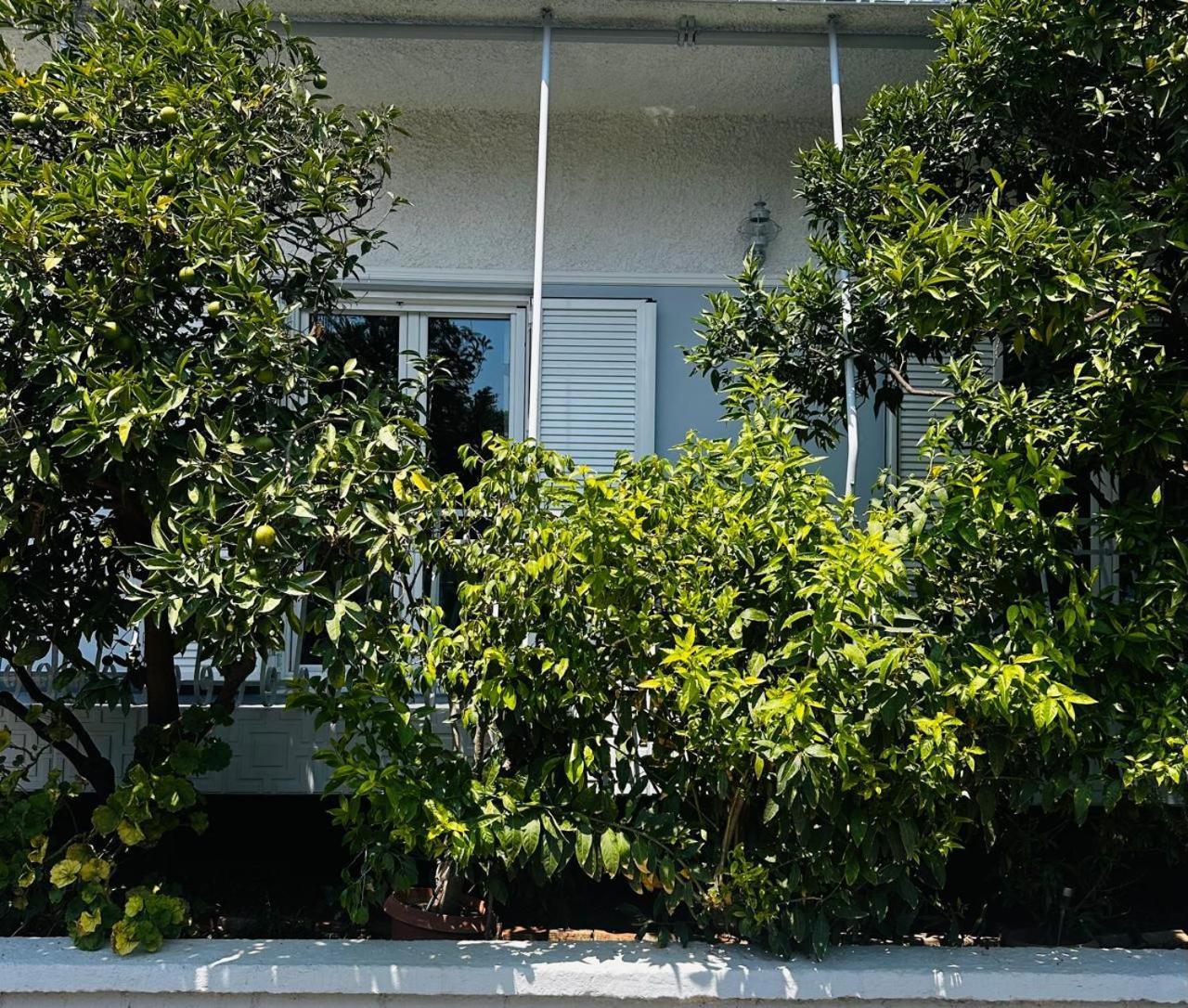 Sotiris Mandarin House Apartment ดิอาคอปโต ภายนอก รูปภาพ